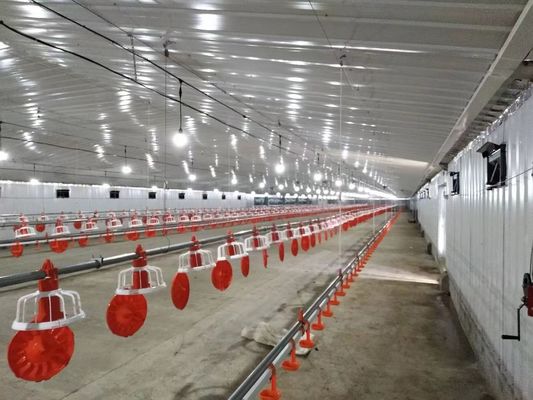 Estrutura de aço galvanizado Casas de aves de capoeira Casas de frango pré-fabricadas Edifícios agrícolas personalizados