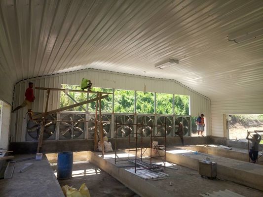 Estrutura de aço leve pré-fabricada Casa de aves de capoeira revestimento galvanizado Estrutura de aço