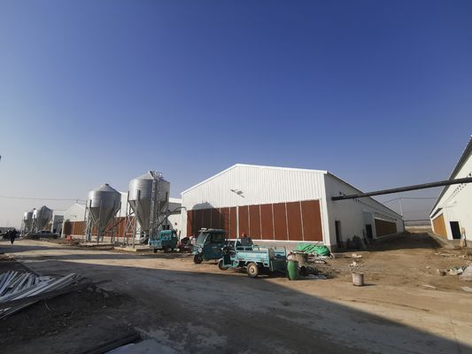 Anti-corrosivo Galvanizado Antomático Full Poultry Farm Shed Bird House Prefabricado