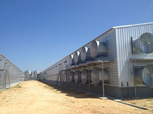 Construção de edifícios de aço de alta altura para casa de aves de capoeira para parafusos Conexão e design personalizável