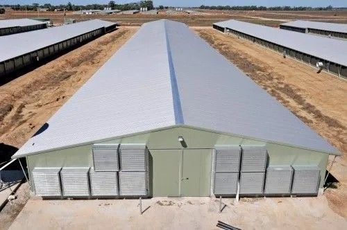 Estrutura de aço modular Casa de frango Broiler Casa de quinta Galpão de aves de capoeira Edifícios de armazém pré-fabricados
