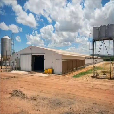 Moderno Design Impermeável Isolamento Térmico Casa de Frango Depoimento Casa de Frango Estrutura de Aço Casa de Aves