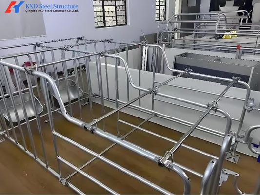 Caixas galvanizadas de fecundação de porcos Equipamento de porcarias Cama de fecundação de porcos