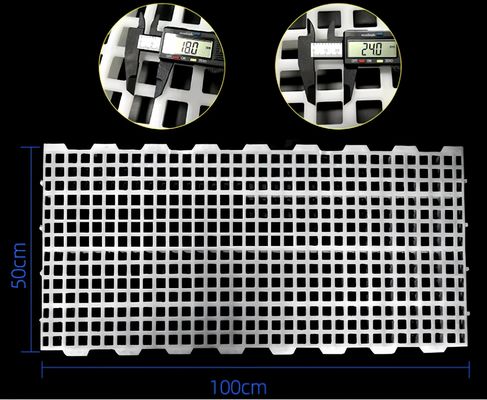 Fama de aves de capoeira de plástico com piso em laje Casa de frango 2kg 16*16mm / 20*26mm Furo