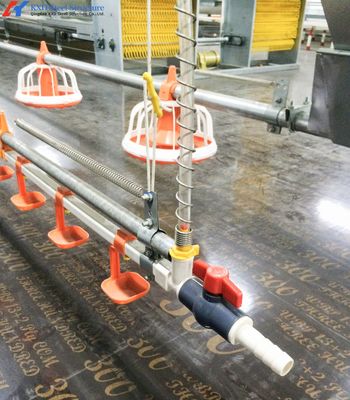 Fazenda de galinhas de aço personalizada, edifícios de fazenda de aço leve