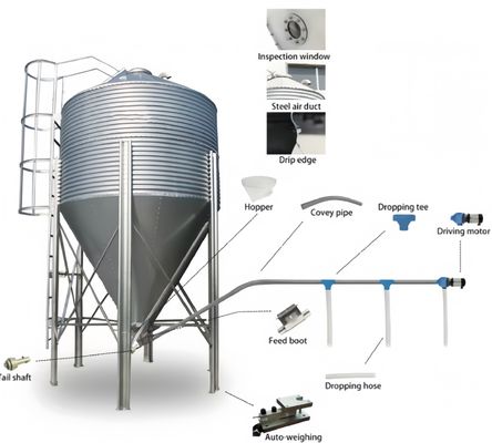 Silos de alimentação de frangos da siderurgia, silos automáticos de alimentação de aves 3T-34T