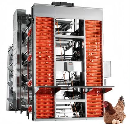 Tipo Bateria camada Caixa de frango Equipamento automático de criação de frango e aves